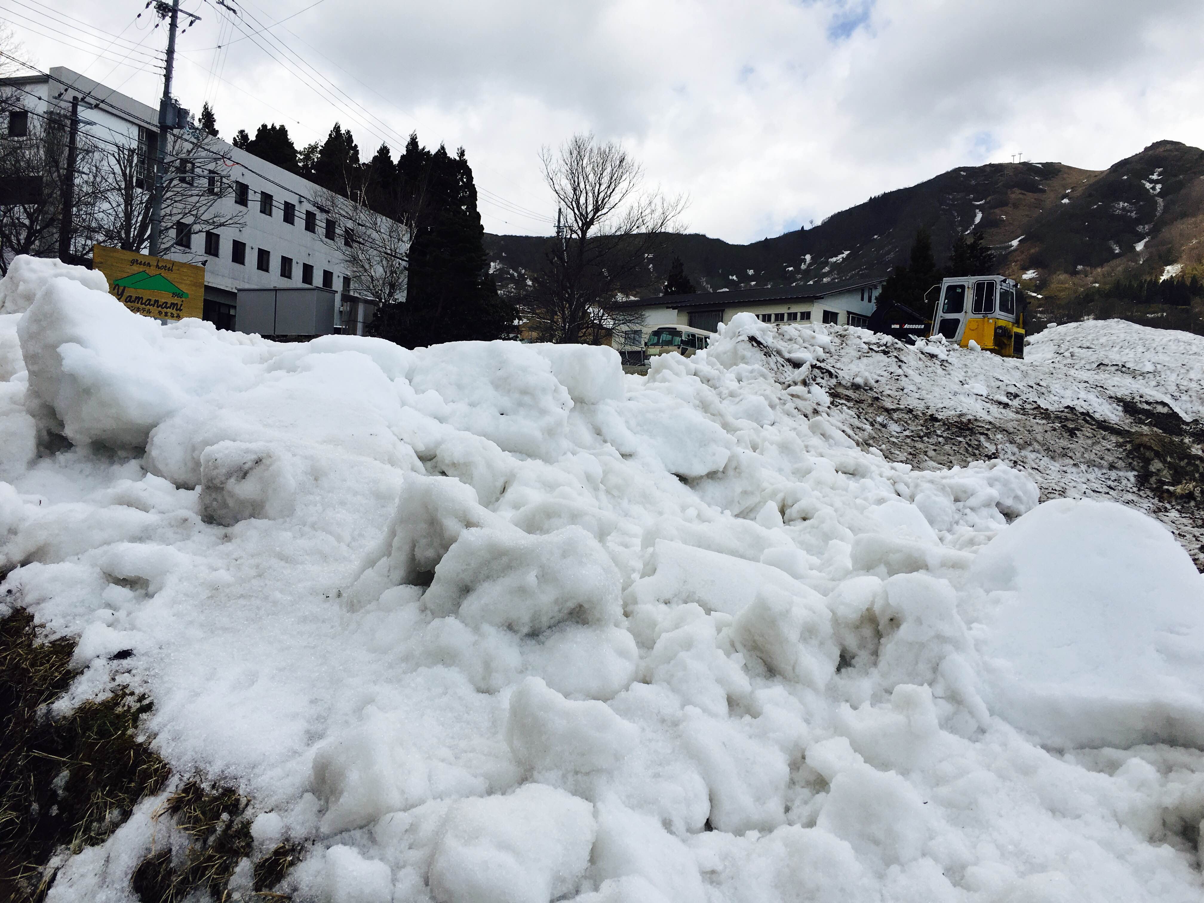 ハチ高原　ゴールデンウイーク前の様子
